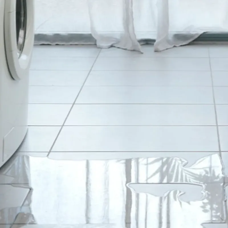 Appliance Leak Cleanup in Marysville, WA